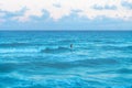 Man stand surfing in the ocean during sunset at Cancun, Yucatan, Mexico