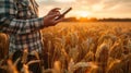 Man Standing in Wheat Field Holding Tablet Royalty Free Stock Photo