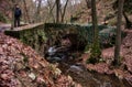 Man standing on a bridge in the forest