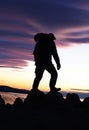 Man standing on cliff in front of ice lake Royalty Free Stock Photo