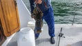 A man is standing on the deck of a yacht, holding a freshly caught sea bass.