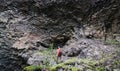 Man standing in front of basalt columns wall in Gjain canyon, Iceland.