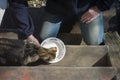 Feeding homeless cat