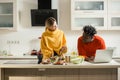 Man standing with laptop and his girlfriend cooking Royalty Free Stock Photo