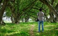 Trees in forest on Mauritius Island Royalty Free Stock Photo