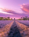 A man standing in the middle of a road in Joshua Tree National Park at sunset Royalty Free Stock Photo