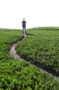 Man standing on a narrow path Royalty Free Stock Photo
