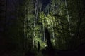 Man standing outdoor at dark night shining with flashlight