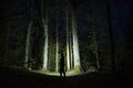 Man standing outdoor at dark night shining with flashlight Royalty Free Stock Photo