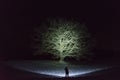 Man standing outdoors at night in Sweden Scandinavia winter landscape shining with flashlight at tree and sky Royalty Free Stock Photo