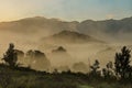 a person standing in the grass on a mountain with a horse Royalty Free Stock Photo