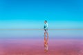 Man standing in pink water with blue sky above. pink salt lake. Exploring nature, travel, family vacation in Kherson Royalty Free Stock Photo