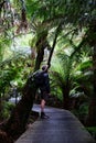 Man standing on a scenic pathway surrounded by lush vegetation