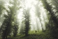 Man standing under giant trees in mysterious forest