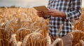 Man Standing in Wheat Field Holding Tablet Royalty Free Stock Photo