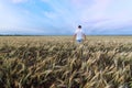 Man standing on wheat field Royalty Free Stock Photo