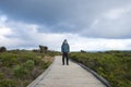 Man standing on wooden foot path