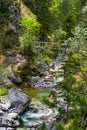 Young Man Stands On Bridge Over Clear And Wild Mountain River In Green Canyon In ÃâtschergrÃÂ¤ben In Austria Royalty Free Stock Photo