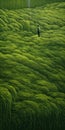 Endless Lawn A Detailed Surrealist Artwork By Charles Angrand