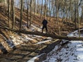 A man stands on a fallen tree over a ravine in the forest Royalty Free Stock Photo