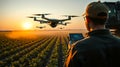 A man stands in a field and controls a drone Royalty Free Stock Photo