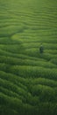 Endless Lawn A Dreamy Realism In Rural China