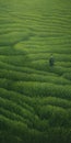 Endless Lawn: A Dreamy Realism In Rural China