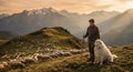 Man stands on a hillside with a white dog and a herd of sheep Royalty Free Stock Photo