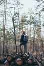 Man stands on pile of logs in the pine forest