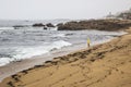 A man stands on the shore of a windy sandy shore