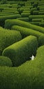 Endless Lawn: Meticulous Photorealistic Still Life Of A Woman Walking In A Maze