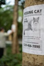 A man sticking flyers and seeking for a missing cat in a park vertical composition