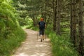 Man with sticks for Nordic walking and backpack engaged in trekking on the path in pine forest or Park. Healthy lifestyle and stay Royalty Free Stock Photo