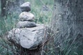 Man of stones stands by the wayside in a forest