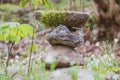 Man of stones stands by the wayside in a forest