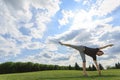 Man stretching hands and legs on green grass in park. Yoga and healthy lifestyle concept Royalty Free Stock Photo