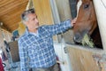 man stroking horse Royalty Free Stock Photo