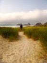 Footprints in Sand Beach Grass Vertical Royalty Free Stock Photo