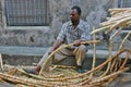 Man and sugar cane in Zanzibar Island