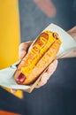 Man suggesting freshly prepared hotdog with cheese in a paper box. Food delivery or take awat food concept. Yellow background Royalty Free Stock Photo