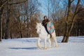 Man in suit of ancient viking riding big white horse