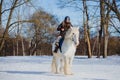 Man in suit of ancient warrior riding big white horse