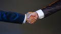 Man in suit shake hand as hello in office closeup Royalty Free Stock Photo