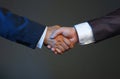 Man in suit shake hand as hello in office closeup Royalty Free Stock Photo