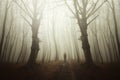 Man in surreal haunted misty woods Royalty Free Stock Photo