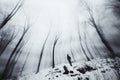 Man in surreal winter forest