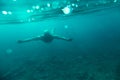 Man Swim Underwater Sea