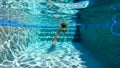 A man swimming freestyle in a swimming pool in on a sunny day in Florida Royalty Free Stock Photo