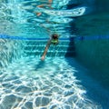 A man swimming freestyle in a swimming pool in on a sunny day in Florida Royalty Free Stock Photo