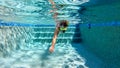 A man swimming freestyle in a swimming pool in on a sunny day in Florida Royalty Free Stock Photo